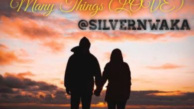 Silvern Waka - Many Things (Love)