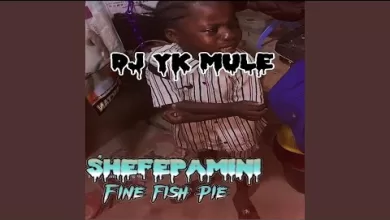 [Freebeat] Dj YK Mulee - Shefepamini Fine Fish Pie Beat