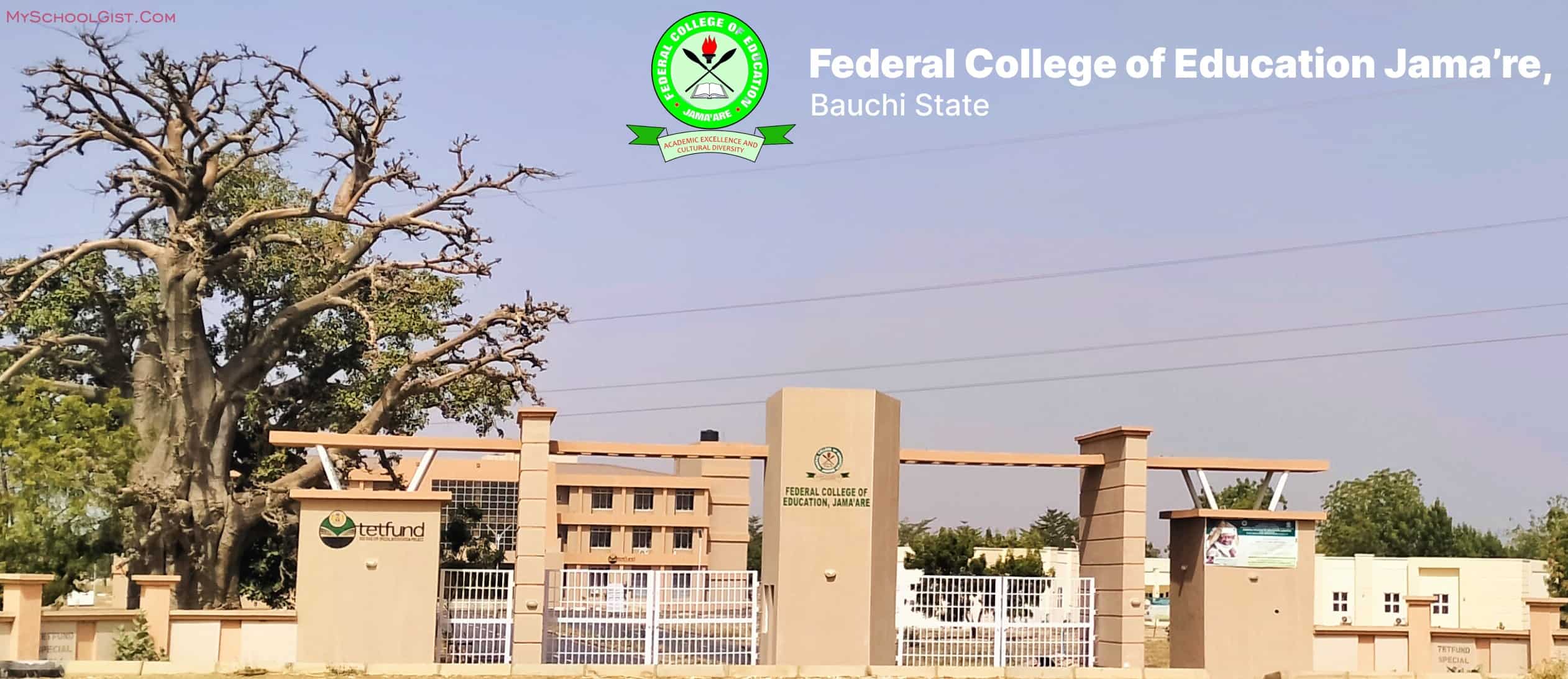 Federal College Of Education, Jama'are Admission 2023/2024 | Courses, Requirements Apply Now