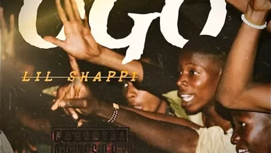 Lil Shappi - Ogo (Hook Version) Official Download Mp3