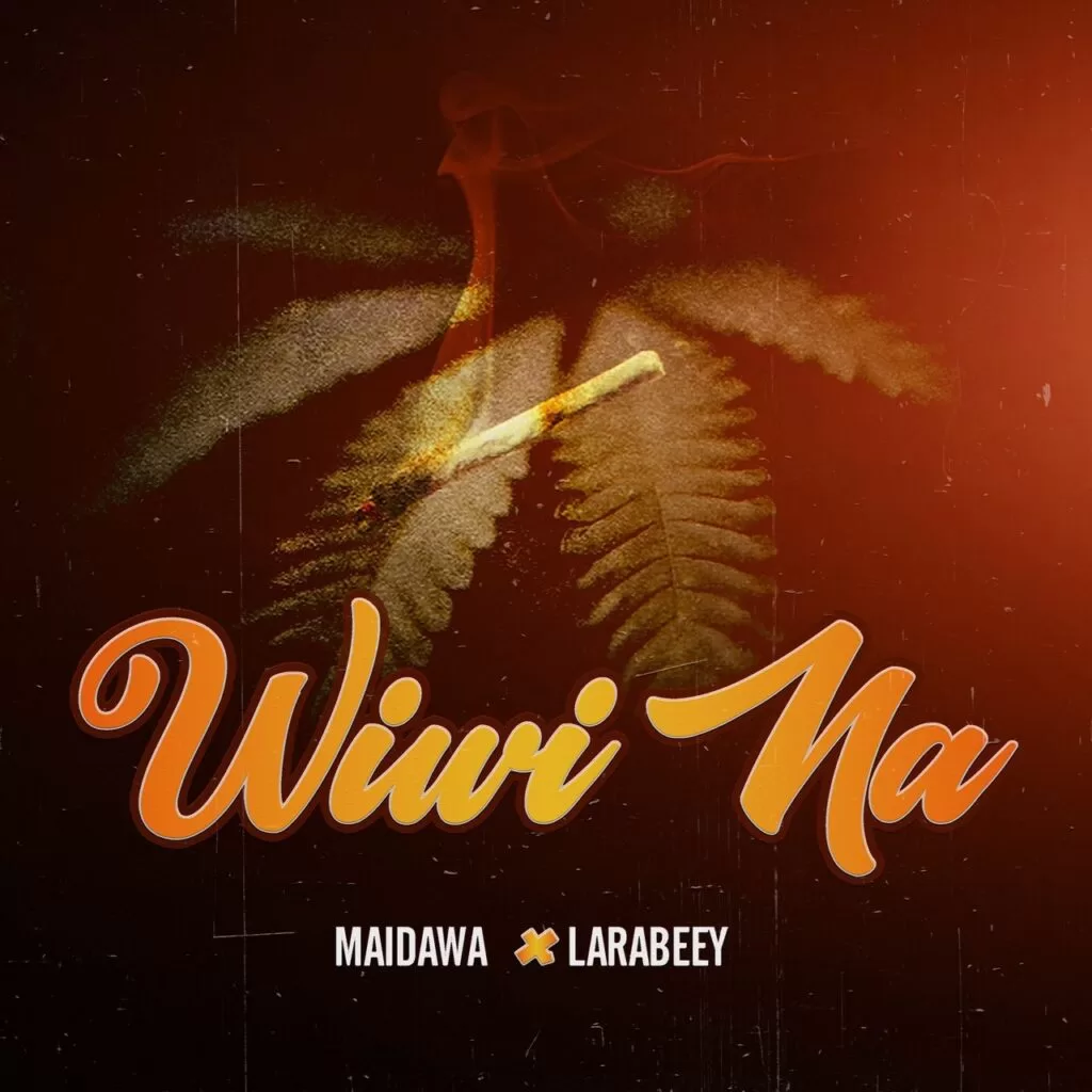 Maidawa Ft. Larabeey - Wiwi Na Official Download Mp3