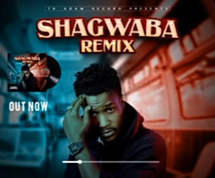 TK Adam Dorayi - Shagwaba (Remix) Mp3 Download 2024