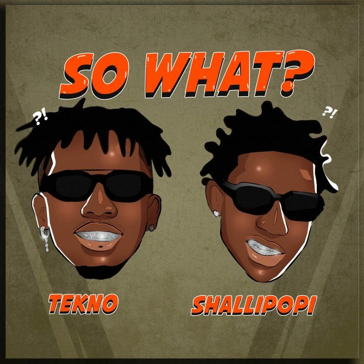 Tekno - So What Ft. Shallipopi Mp3 Download
