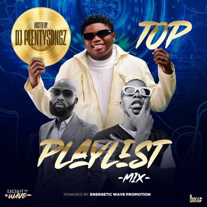 MIXTAPE: Dj PlentySongz - Top Playlist Mix 2024