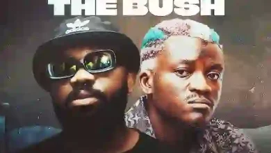 Magnito - Beat Around The Bush Ft. Portable