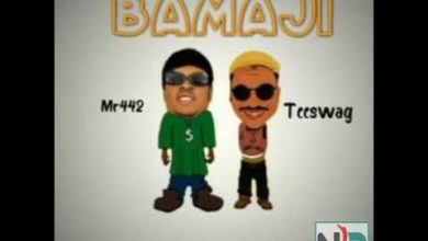 Mr 442 Ft. Teeswag – Bamaji Mp3 Download