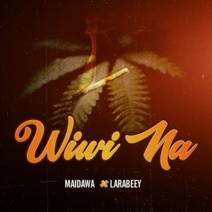 Maidawa - Wiwi Na Ft. Larabeey