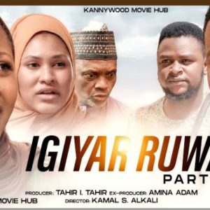 Taskar Kannywood Episode 16 MP4 Download Official