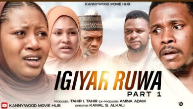Taskar Kannywood Episode 16 MP4 Download Official