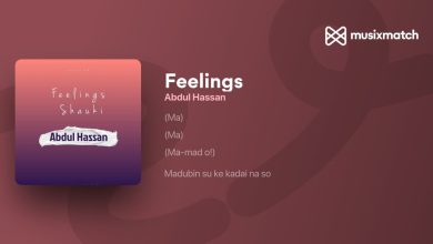Abdul Hassan – Feelings (Shauki) Mp3 Download