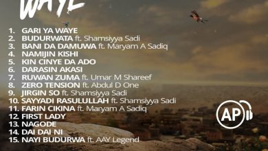 Salim Smart - Bani Da Damuwa Ft. Maryam A Sadik