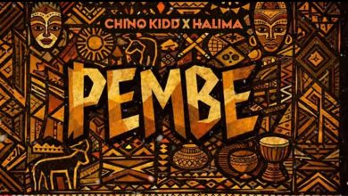 Chino Kidd Ft. Halima - Pembe