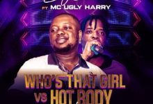 DJ Dice ft. MC Ugly Harry – Who's That Girl Vs Hot Body Mixtape