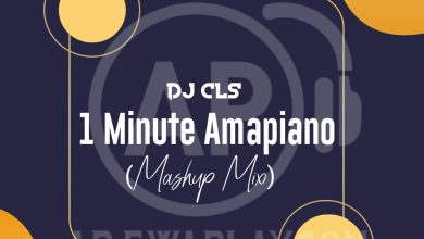 Dj CLS - 1 Minute Amapiano Mashup Mix