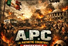 Dandizzy - A.P.C (A Pathetic Country)