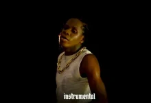 Dogo Rema – Hapo VP