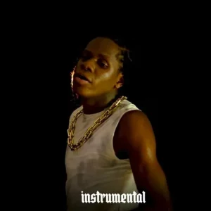 Dogo Rema – Hapo VP