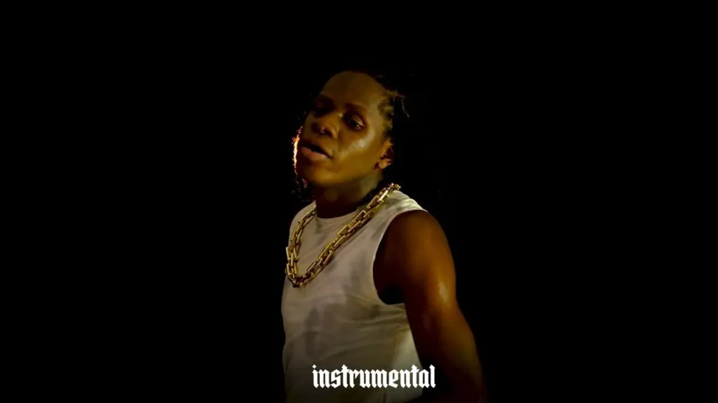 Dogo Rema – Hapo VP