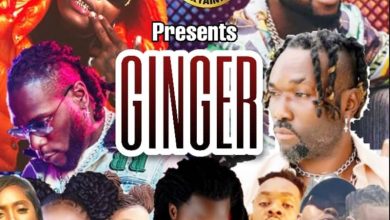 DJ Pizy – Ginger Mixtape