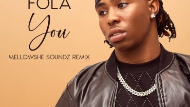 Fola - You (Mellowshe Soundz Remix)