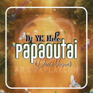 Dj YK Mule - Papaoutai Dance Version