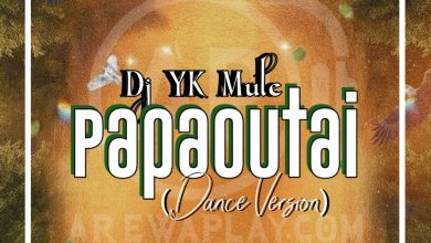 Dj YK Mule - Papaoutai Dance Version