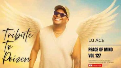 DJ Ace – Peace of Mind Vol. 127 (Tribute to Poizen)