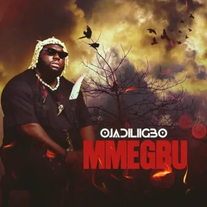 Ojadiligbo - Mmegbu