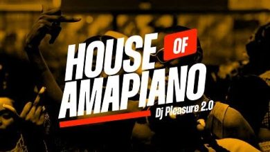 House of Amapiano Mix 2.0 - Dj Pleasure (Full Tracks)