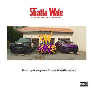 Shatta Wale - Pancake (New Song)