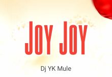 Dj YK Mule - Joy Joy