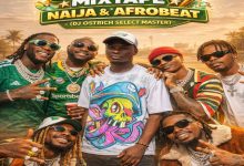 Dj Ostrich - Naija AfroBeat Mixtape (Happy Sallah)