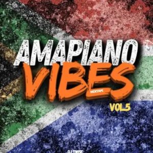 Amapiano Vibes Mixtape Vol.5 - Party Mix