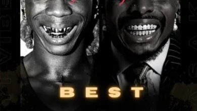 Best Of Asake x Seyi Vibez 2026 - Amapiano Best Songs