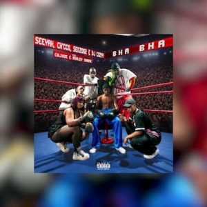 Seeyah, Ch'cco - Bha Bha Ft. Senzo02, Dj Cozzy x Colkaze, Ashley Shane