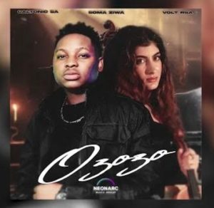 Caltonic SA - Ozozo Ft. Soma Ziwa, Volt RSA