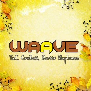 TxC, Cowboii, Scotts Maphuma – Waave