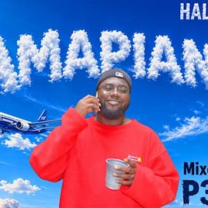 Amapiano Mix 2026 – Halfhour Set 2.0