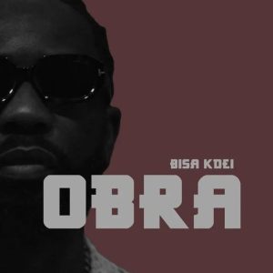 Bisa Kdei – Obra