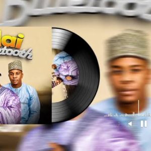 M Zakir Niger – Mai Bluetooth